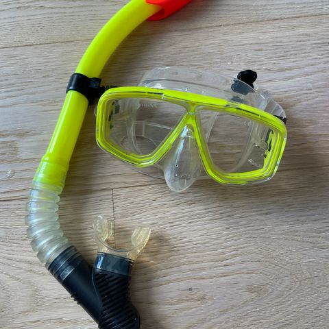 Dykkermaske og snorkel