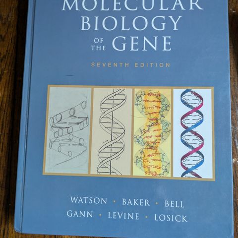 Molecular Biology of the gene