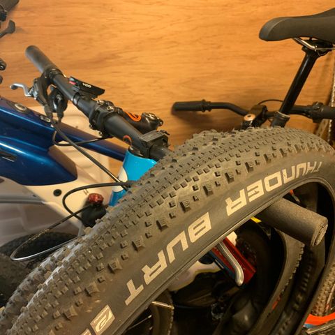 Schwalbe Thunder Burt