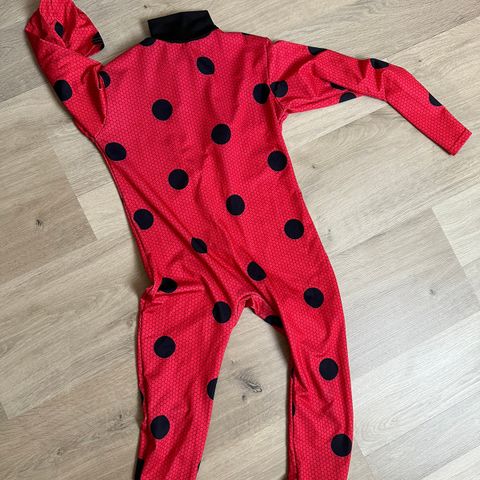 Ladybug kostyme