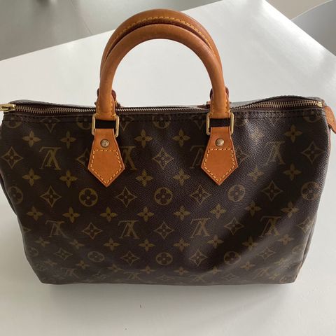 Louis Vuitton Speedy 35