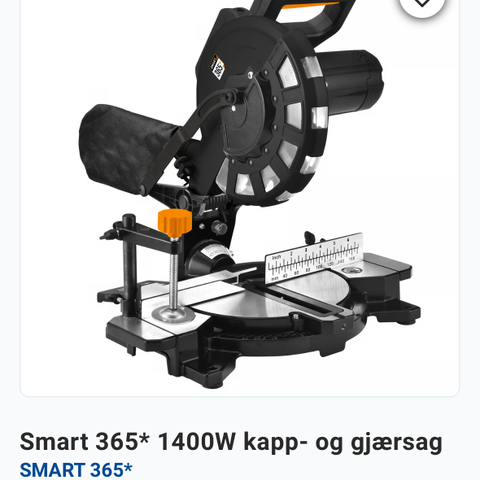 Kapp-og gjærsag