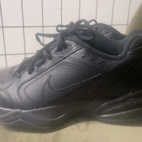 Nike Air Monark- Trainers