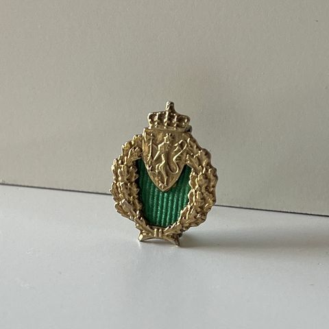 Militære pins, militærenåler