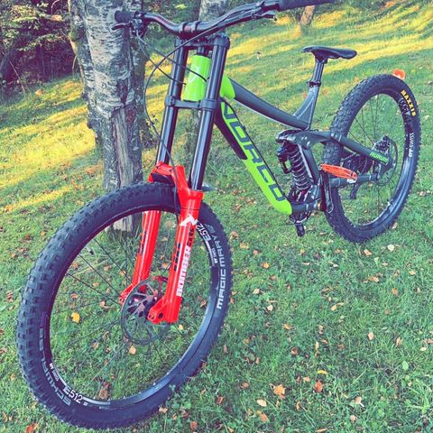 NORCO Autrum DH - Large size