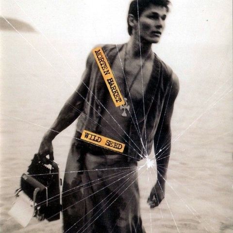 Morten Harket – Wild Seed, 1995