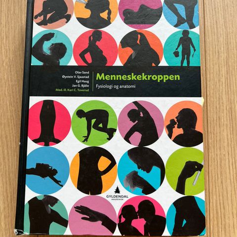 Menneskekroppen