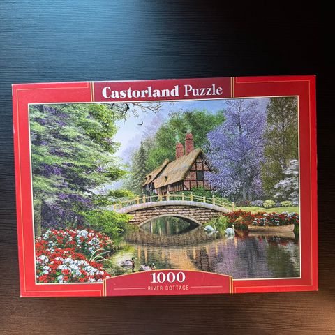 Puzzle Castorland 1000