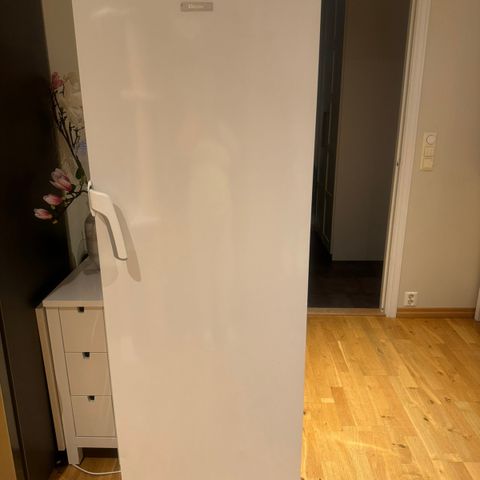 Fryseskap Electrolux EUF29400W (Hvit)