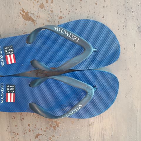 Lexington flip flops