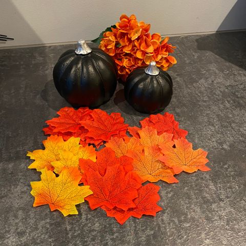 Høst dekor / Autumn decor