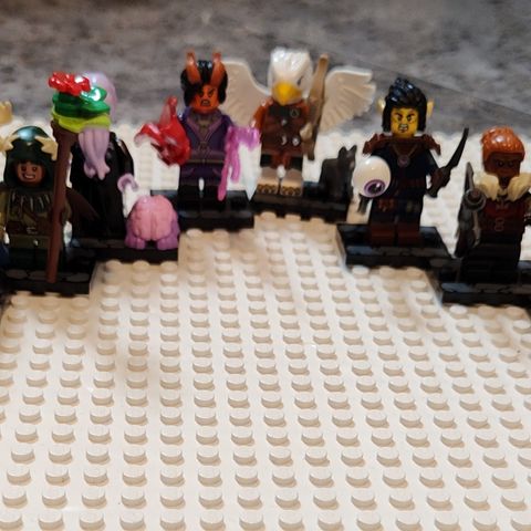 LEGO Dungeons & Dragons CMF, Komplett sett på 12