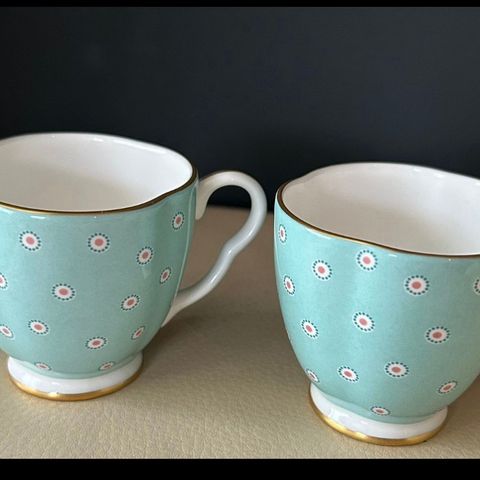 POLKA DOT WEDGWOOD