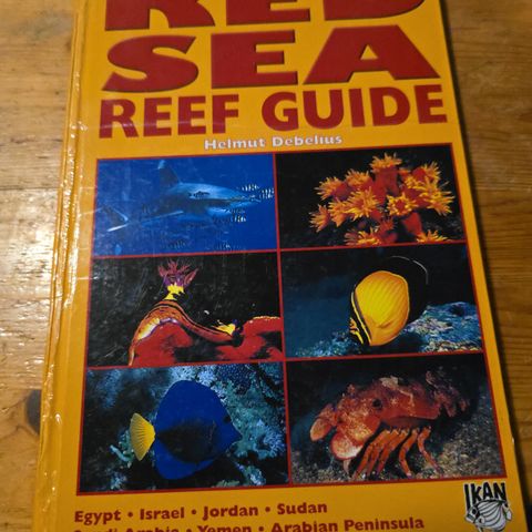 Red sea reef guide