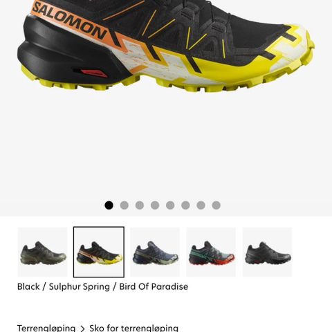 Salomon Speed Cross 6, str 44