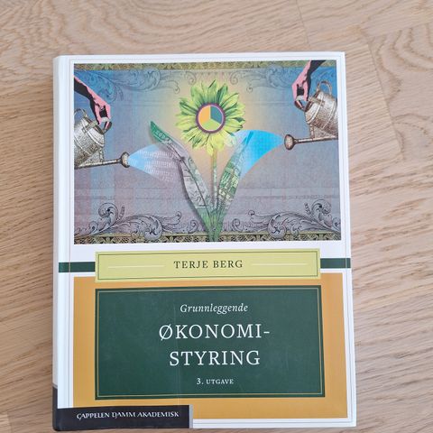 Grunnlegende økonomistyring, 3. Utgave. Av Terje Berg