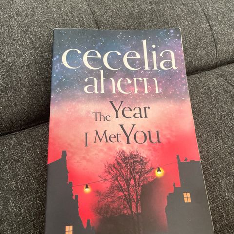 The year i met you, av Cecelia Ahern