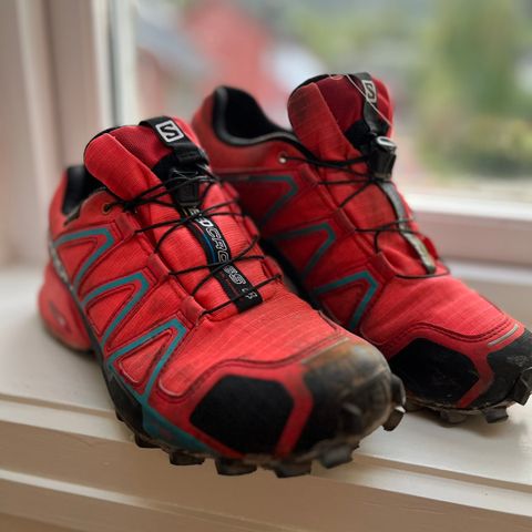 Salomon Goretex speed cross 4 (39,1/3)