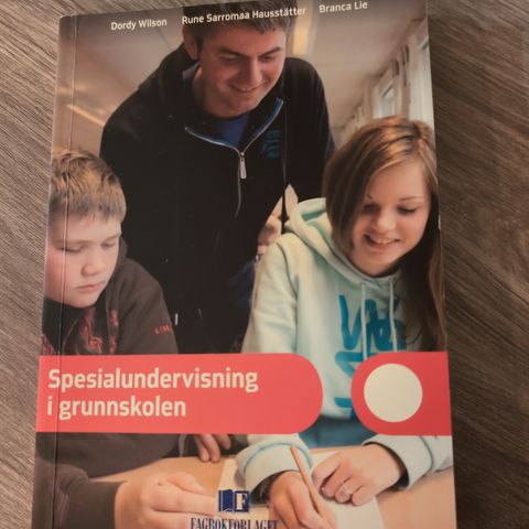 Spesialundervisning i grunnskolen