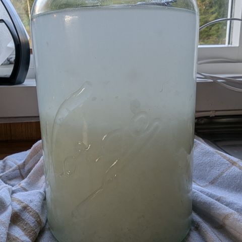 Vannkefir