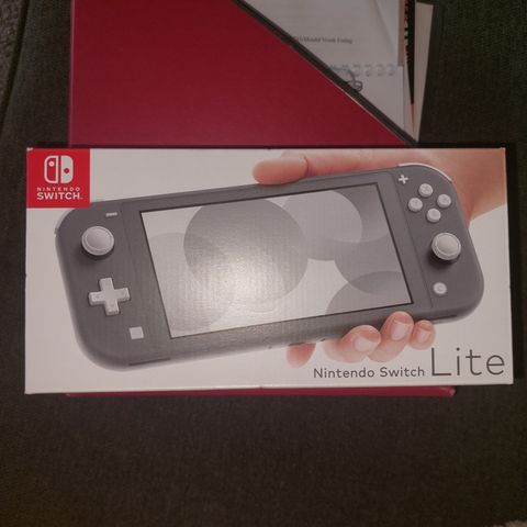 Nintendo switch lite grey