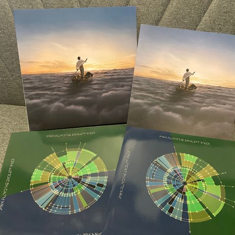 PINK FLOYD The Endless River 2LP+bok som ny