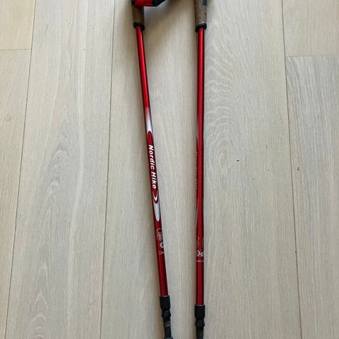 turstaver (nordic walk)