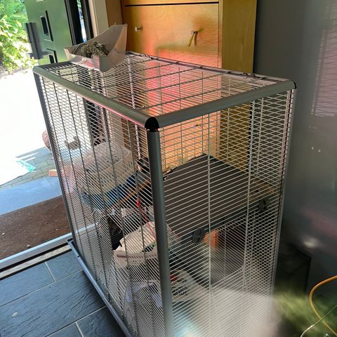 Nicely used cages for rabbits / rats/