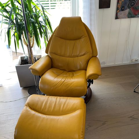 Ekornes  voyager