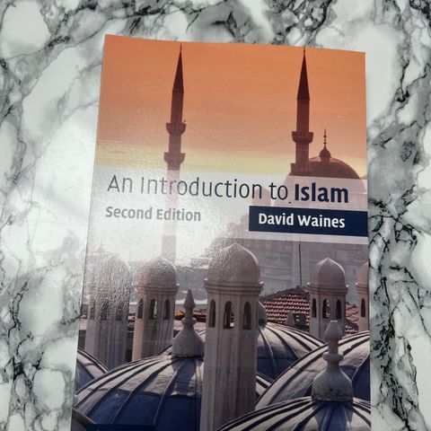 Introduction to Islam | Waines, David Heftet / 2003 / Engelsk