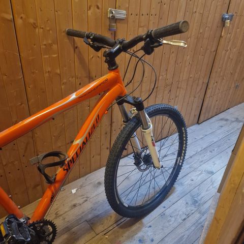 Specialized Rockhopper 26" 19"