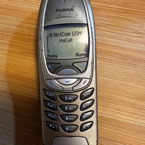 Nokia 6310i