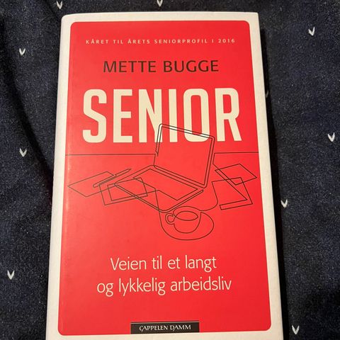 Senior - Veien til et langt og lykkelig arbeidsliv