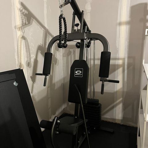 Multigym abilica