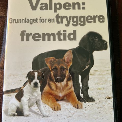 Valpen - Grunnlaget for en tryggere fremtid