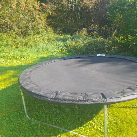 Trampoline