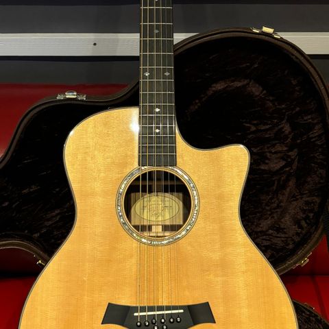 Taylor GT-8 Baritone 8-String, Cutaway with Pickup