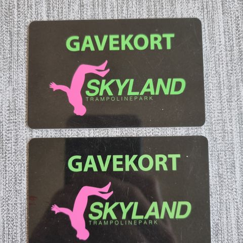 Skyland gavekort 2-timers hopp x2