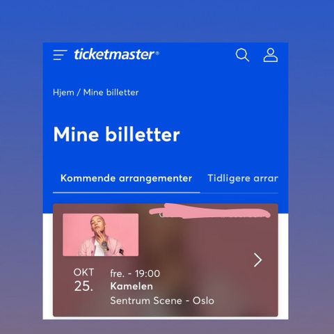 1 stk, Kamelen konsert Oslo (25. okt)