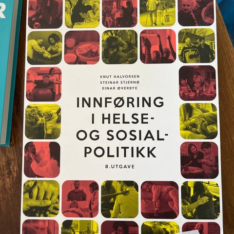 Innføring i helse og sosial politikk (8utg)