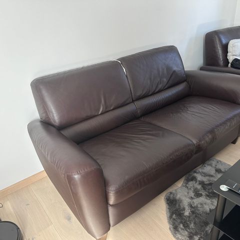 For free sofa for Living room or office’