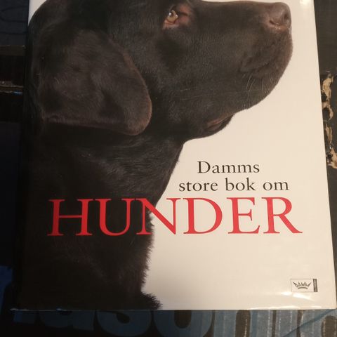 Damms store bok om hunder, av (innbundet)