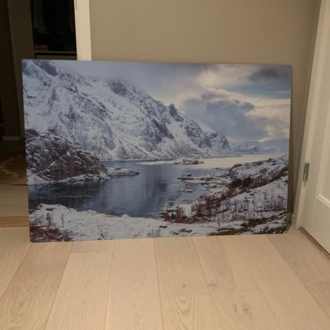 Bildet av Lofoten