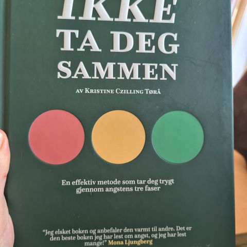 IKKE TA DEG SAMMEN av Kristine Tørå