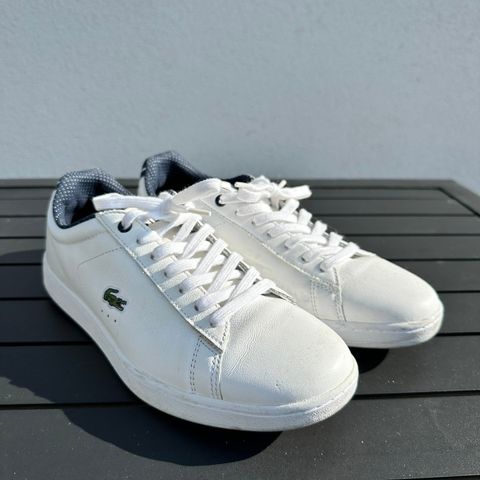 Lacoste Sneakers