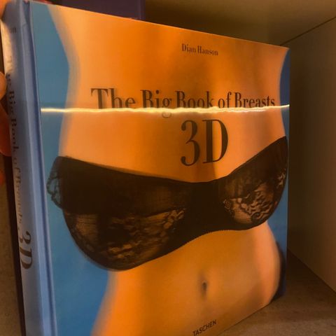 The Big Book of Breasts