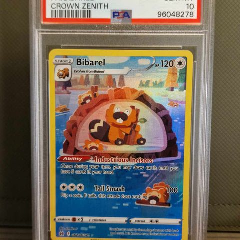 Bibarel #GG25 - Pokemon Crown Zenith PSA 10