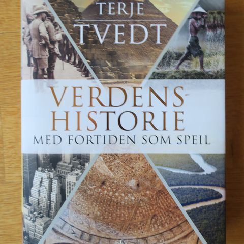 "Verdens hilstorie. Med fortiden som speil" av Terje Tvedt