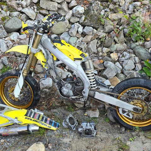 Suzuki rmz 450