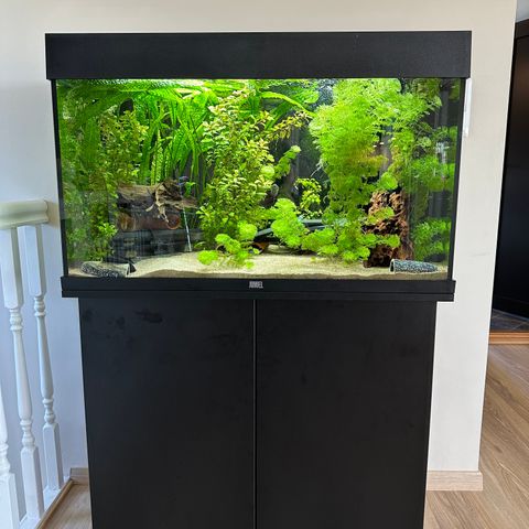 JUWEL Rio 125 akvarium